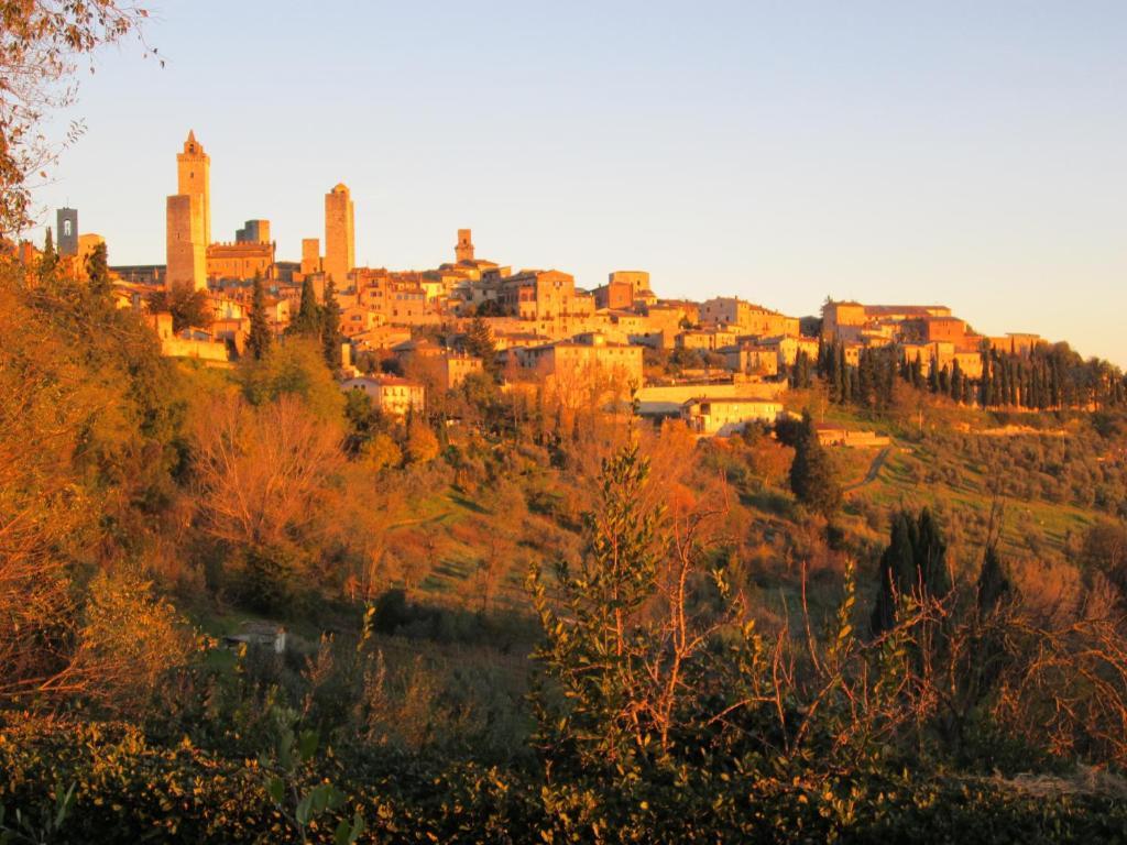Agriturismo Il Colto San Gimignano Exterior foto