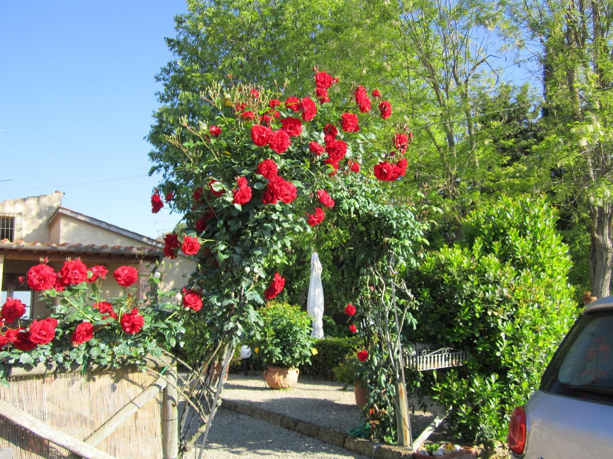 Agriturismo Il Colto San Gimignano Exterior foto