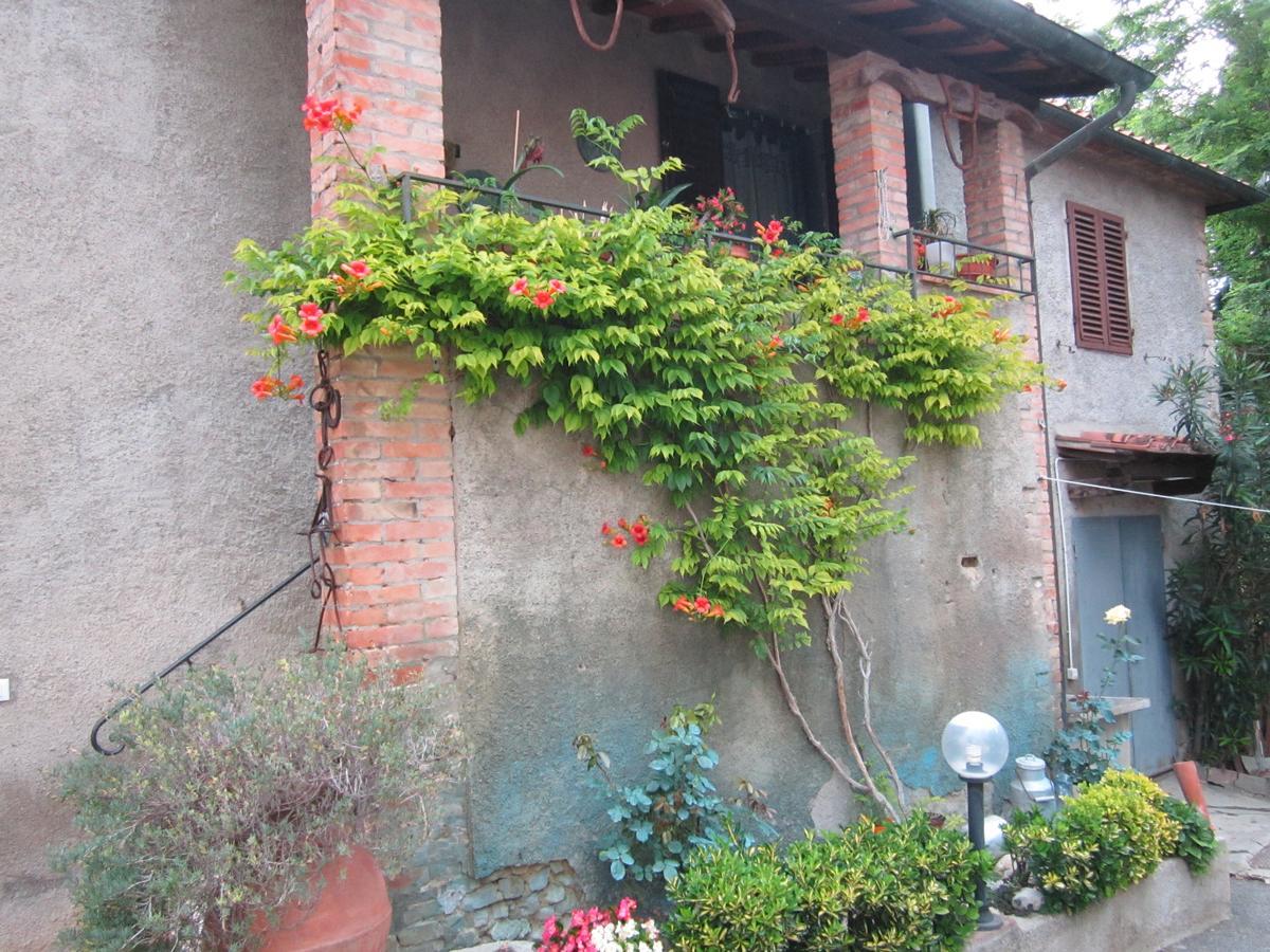 Agriturismo Il Colto San Gimignano Exterior foto